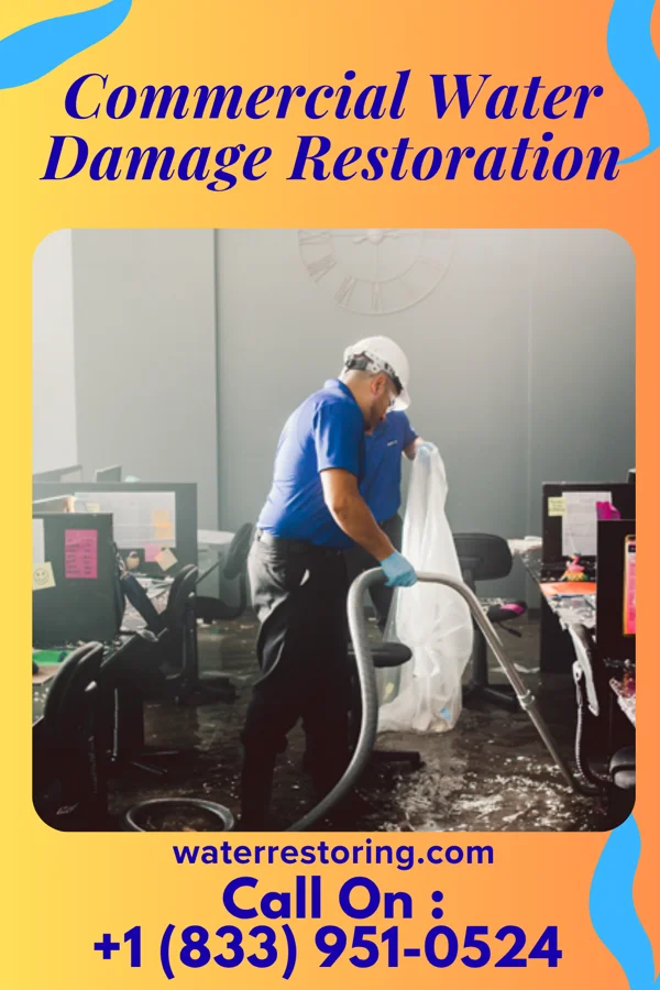Commercial Water Damage Restoration in Beauregard, MS