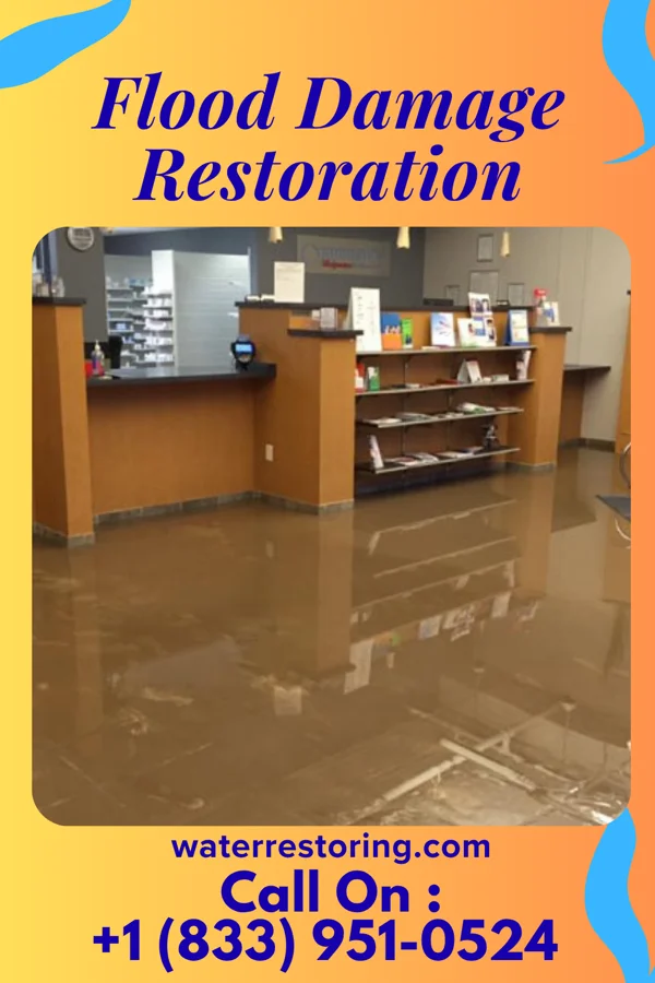 Flood Damage Restoration in Beauregard, MS