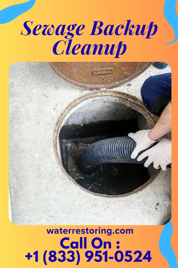Sewage Backup Cleanup in Beauregard, MS