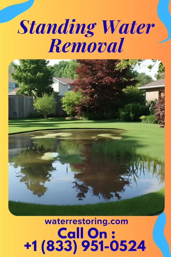 Standing Water Removal in Beauregard, MS